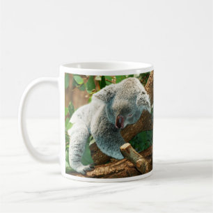 Taza De Café El bebé Koala duerme en un árbol