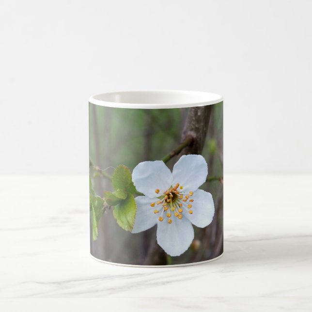 Taza De Café El blanco de la primavera (Centro)
