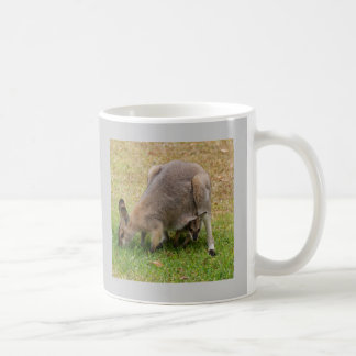 Taza De Café El bonito hizo frente al Wallaby