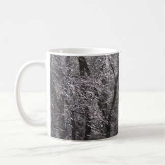Taza De Café El bosque helado brillante en luz matutina I