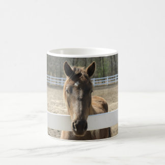 Taza De Café El caballo le encuentra en la cerca