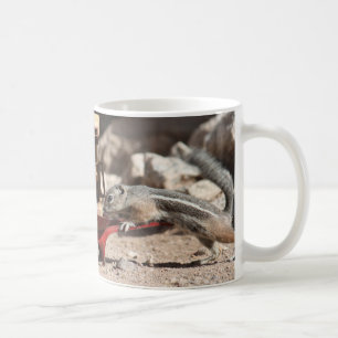 Taza De Café El café atesora la taza