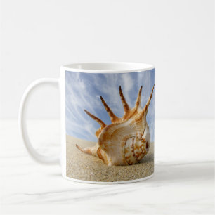 Taza De Café El caparazón de araña en una playa de arena