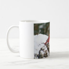 Taza De Café El cardenal sobre un Bush Snowy