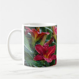 Taza De Café El carmesí sombrea los Daylilies rojos 2