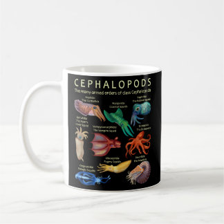 Taza De Café El Cephalopod Octopus Squid Cuttlefish Y Nautil