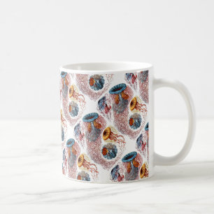 Taza De Café El disco Medusae de Ernst Haeckel