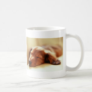 Taza De Café El dormir del Dachshund