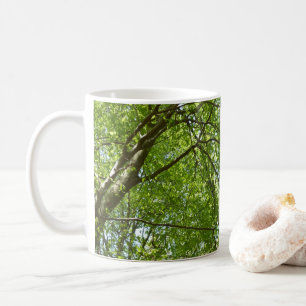 Taza De Café El dosel de la primavera deja la naturaleza verde