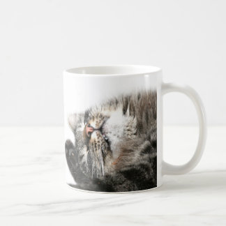Taza De Café El gato soñoliento quiere el café