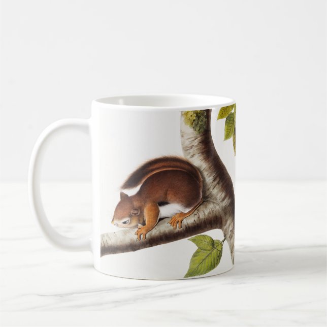 Taza De Café El Ilustracion de ardilla colombiana de Richardson (Izquierda)