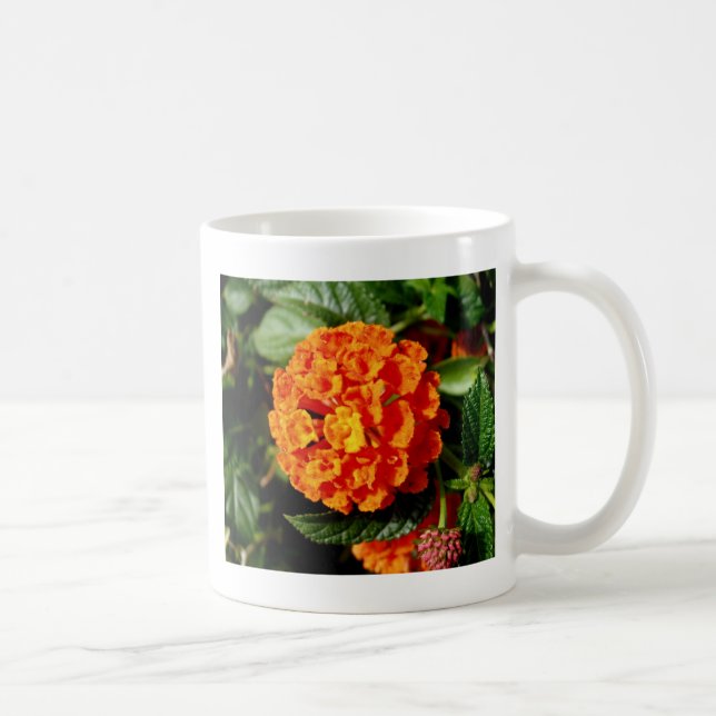 Taza De Café El perfecto florecimiento Naranja (Derecha)