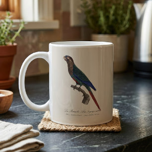 Taza De Café El periquito pintado, Pyrrhura Picta