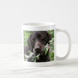 Taza De Café El perrito de la primavera