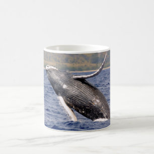 Taza De Café El salpicar de la ballena jorobada