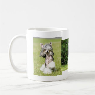 Taza De Café El señalar de Sheeba