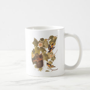 Taza De Café El trío oriental de Baltimore para Audubon