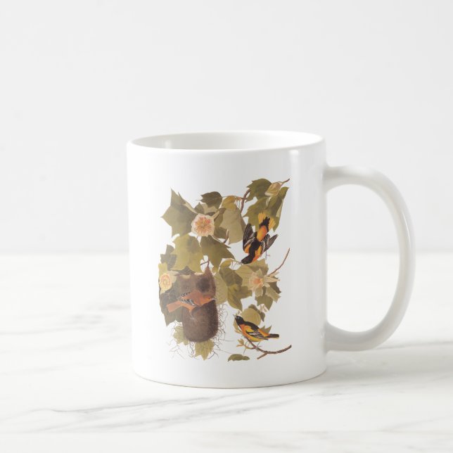 Taza De Café El trío oriental de Baltimore para Audubon (Derecha)