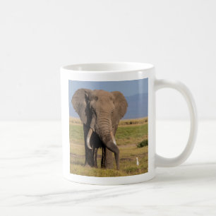 Taza De Café Elefante Buscando