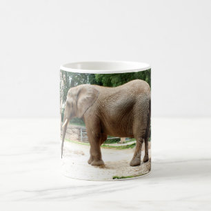 Taza De Café Elefante de África