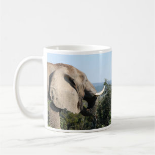 Taza De Café Elefante silvestre comiendo, Sudáfrica