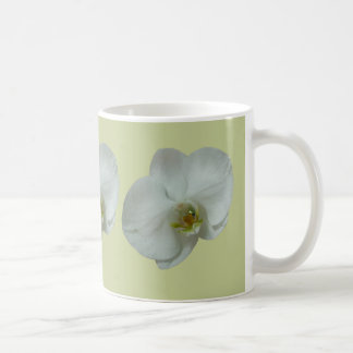 Taza De Café Elegante Flor Orquídea Blanca Botánica