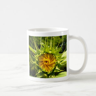 Taza De Café Elegante foto de girasol amarillo