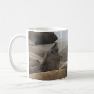 Taza De Café Elephant Seal Rookery San Simeon, CA