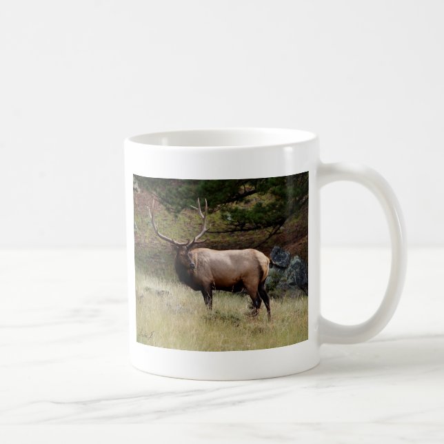 Taza De Café Elk in the Wild (Derecha)