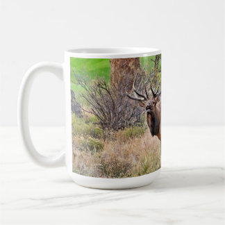 Taza De Café Elk masculino en Estes Park, Colorado, durante set