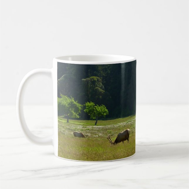 Taza De Café Elk Meadow en el parque nacional de Redwood (Izquierda)
