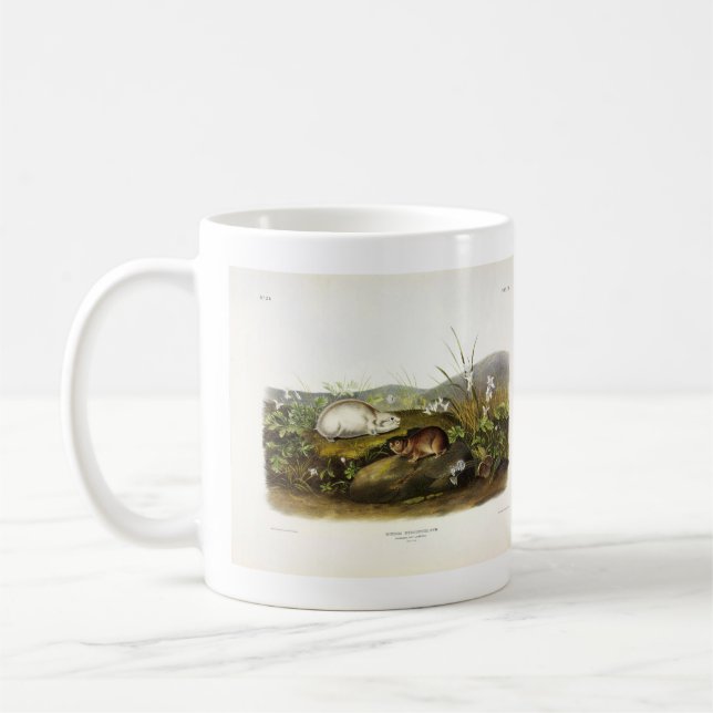 Taza De Café Emblema de Hudson's Bay (Ungava Collared) de Audub (Izquierda)