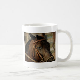 Taza De Café En el Horse Show