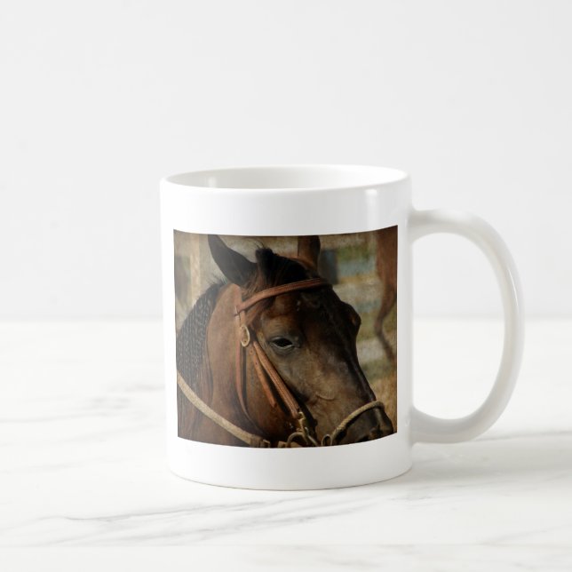Taza De Café En el Horse Show (Derecha)