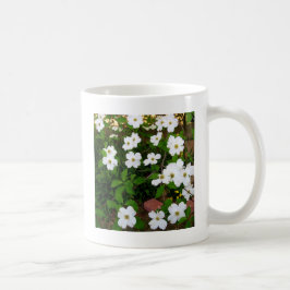 Taza De Café En el jardín ~ Flores de dogwood