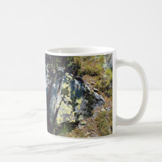 Taza De Café En las sombras el arte de la naturaleza belleza