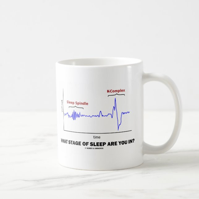 Taza De Café ¿En Qué Etapa De Dueño Estás? (Derecha)