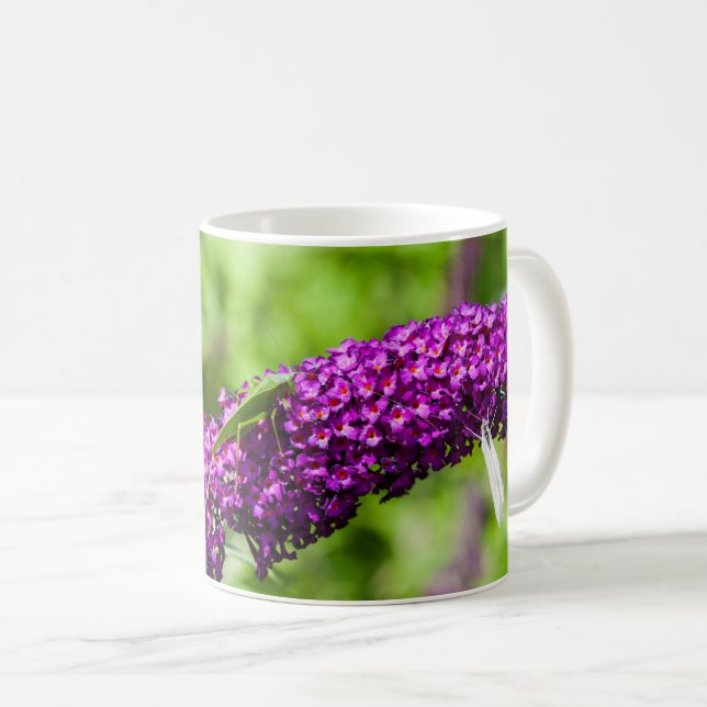 Taza De Café energía de la katydid (Anverso derecho)