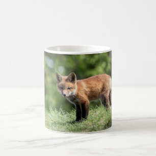 Taza De Café Equipo del Fox rojo