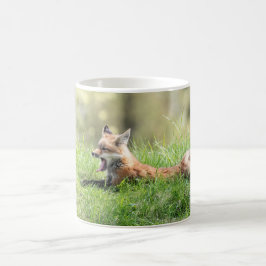 Taza De Café Equipo del Fox rojo