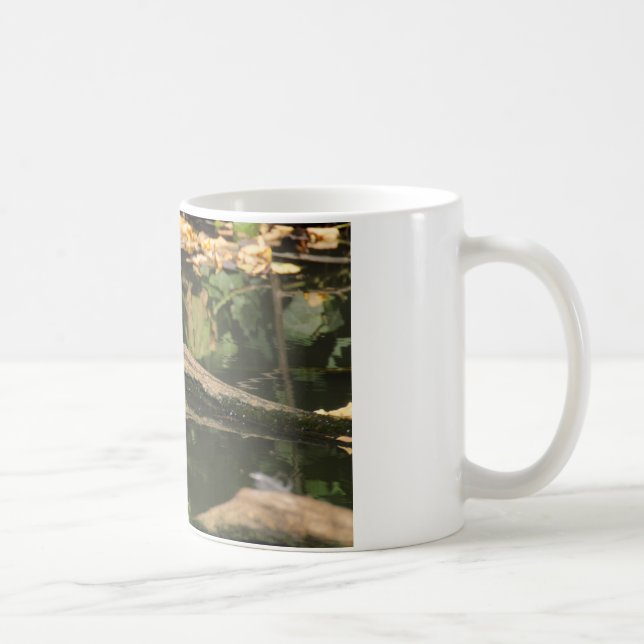 Taza De Café Erithacus rubecula (Derecha)