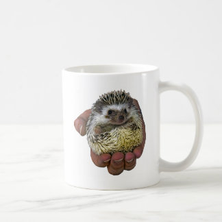 Taza De Café Erizo
