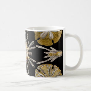 Taza De Café Erizos de mar de Ernst Haeckel Echinidea