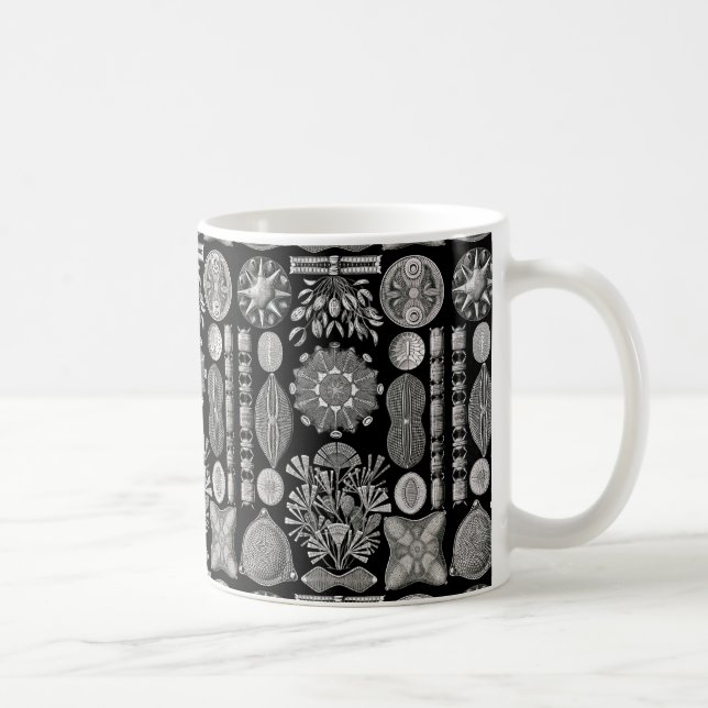 Taza De Café Ernst Haeckel Diatomea (Derecha)