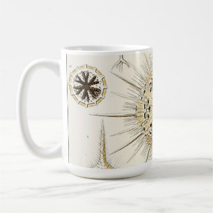 Taza De Café Ernst Haeckel Phaeodaria