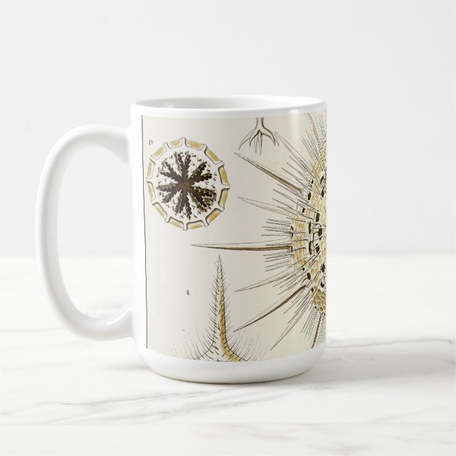 Taza De Café Ernst Haeckel Phaeodaria (Izquierda)