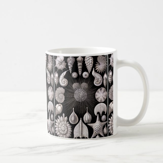 Taza De Café Ernst Haeckel Thalamophora I (Derecha)