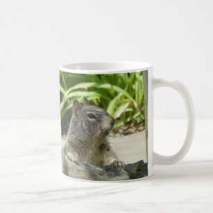 Taza De Café Escapada de ardillas en la sombrilla