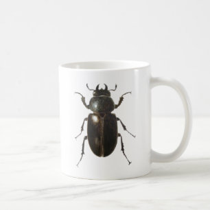 Taza De Café Escarabajo de macho 2011