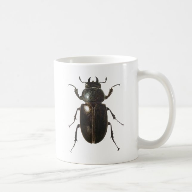 Taza De Café Escarabajo de macho 2011 (Derecha)
